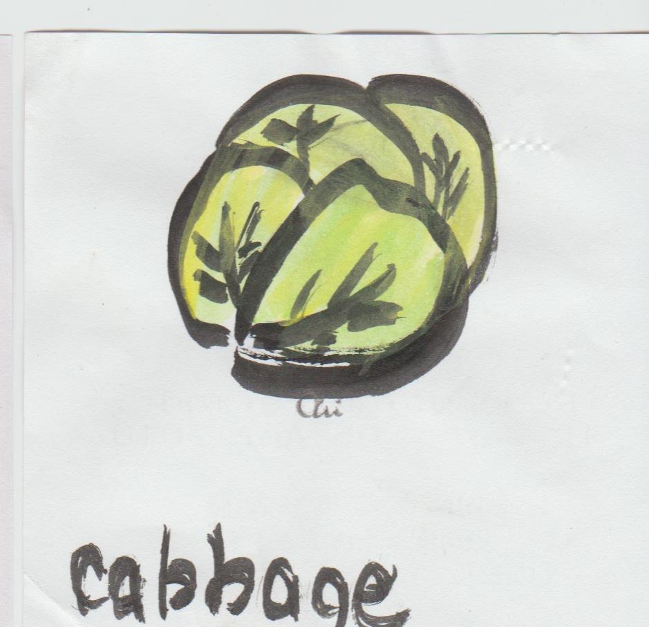 Dreaming of cabbage Dream interpretation for dream meanings
