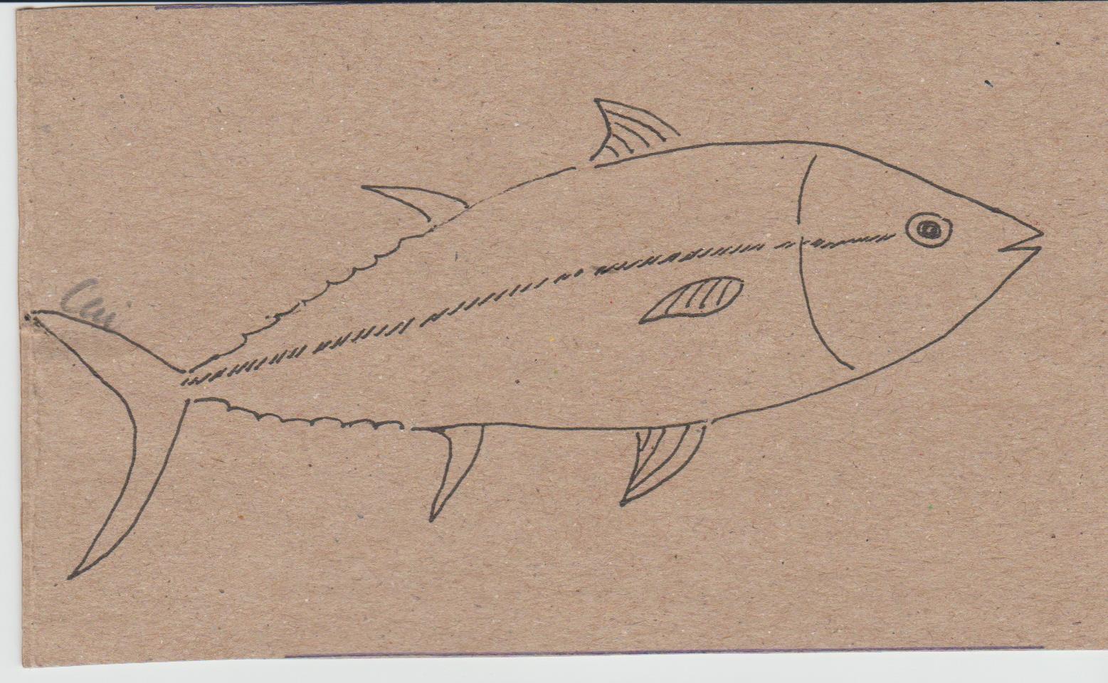 Dreaming of Southern Bluefin Tuna How To Interpret Dreams