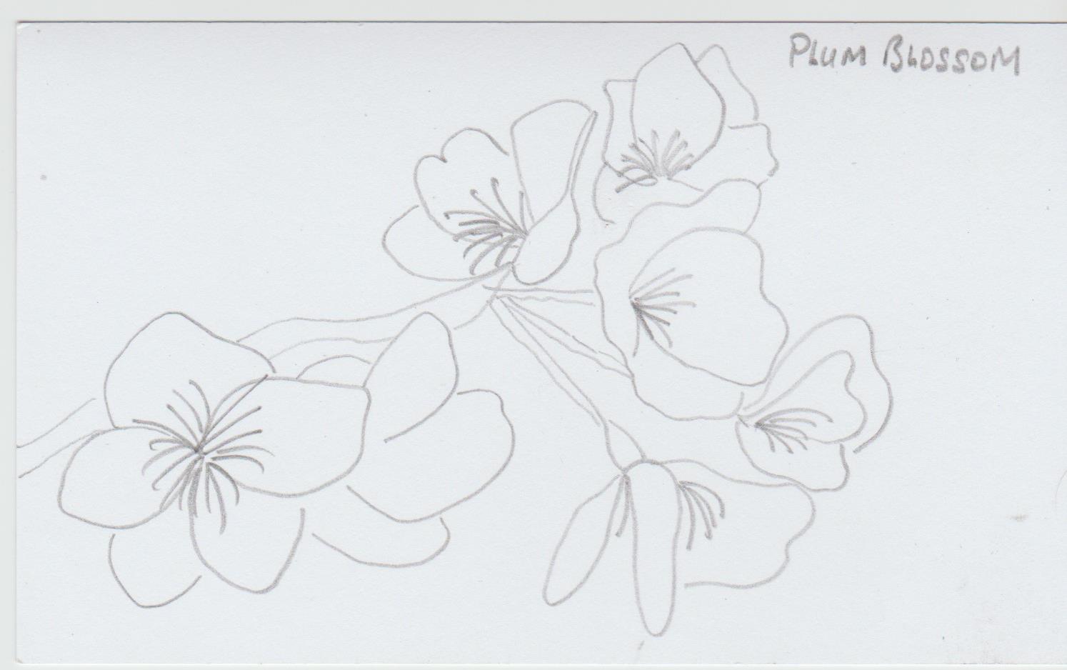 Dreaming of flowers, dream interpretation flowers, flowers dream