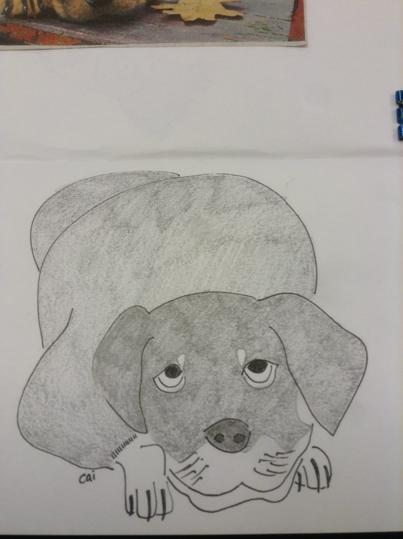 Rottweiler Dog Doodles #26 – Dreams, Reviews, DIY Art