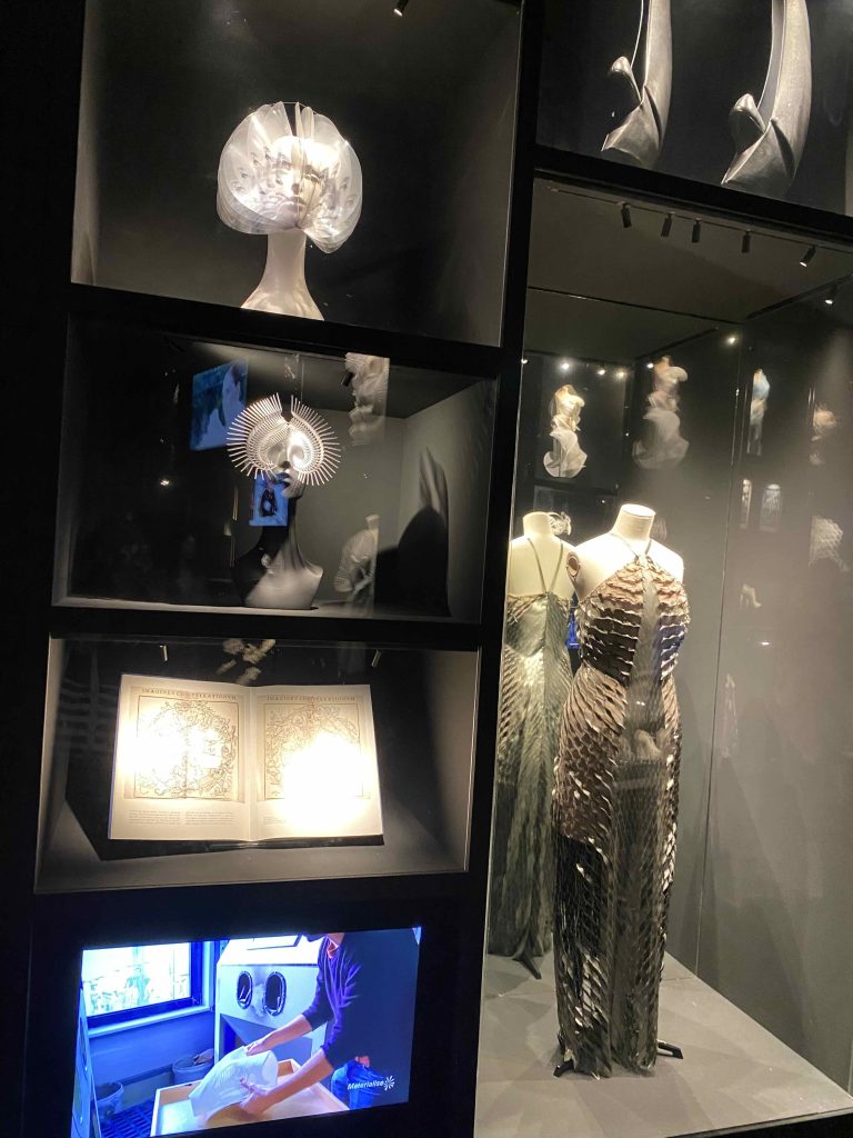 Cabinet of curiosities