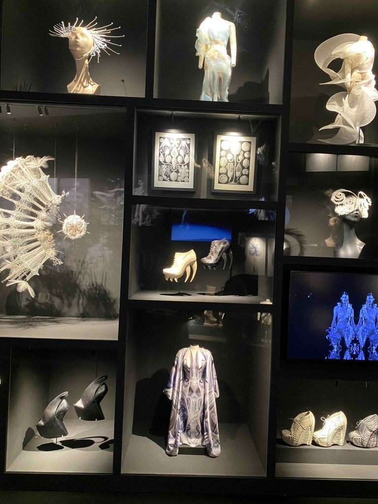 Cabinet of curiosities