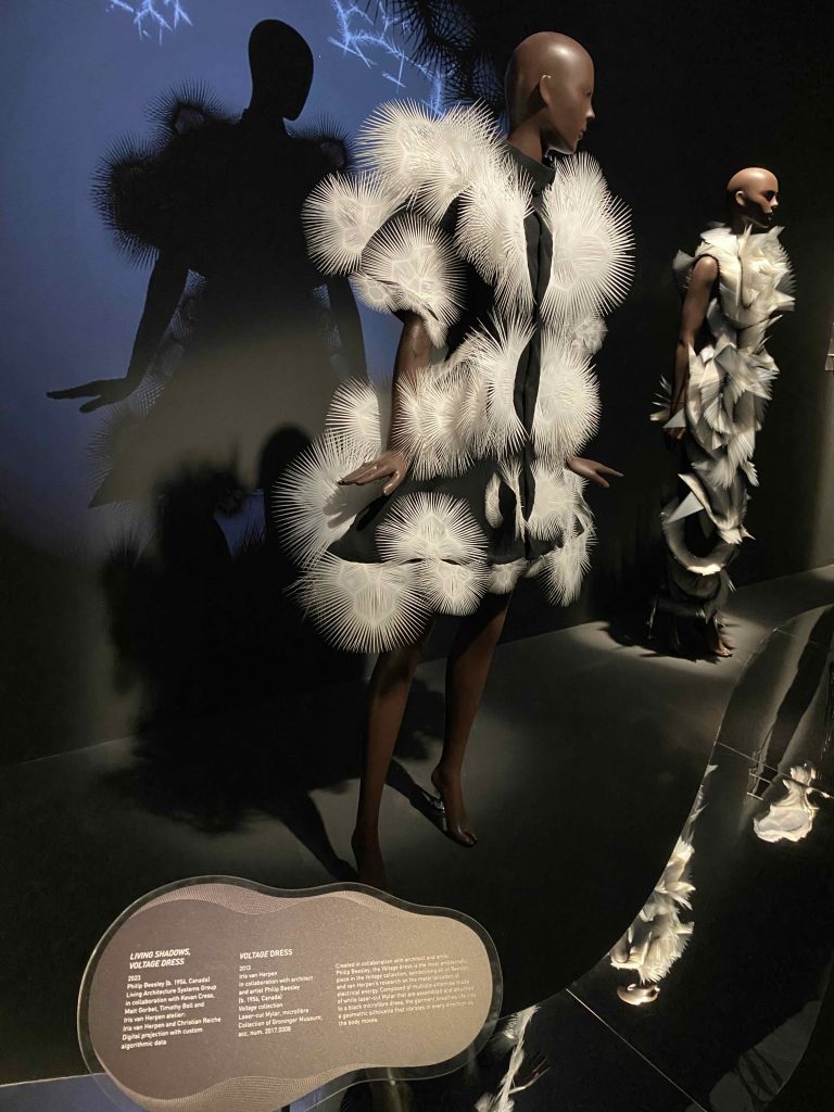 Iris van Herpen fashion show