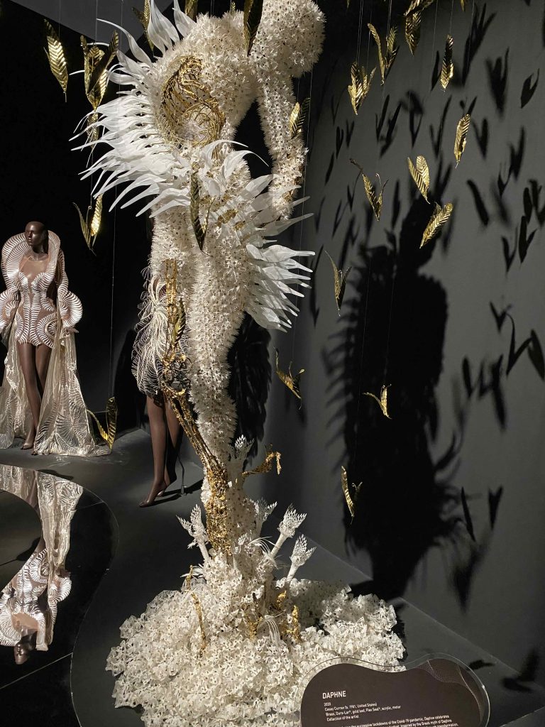 Iris van Herpen fashion show