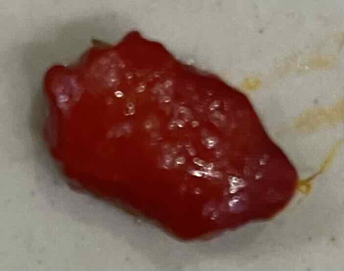 The white seed is encased by a red membrane.