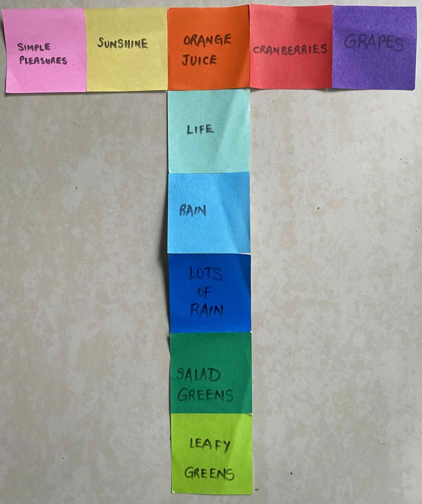 Ten Things of Thankfulness (TToT)