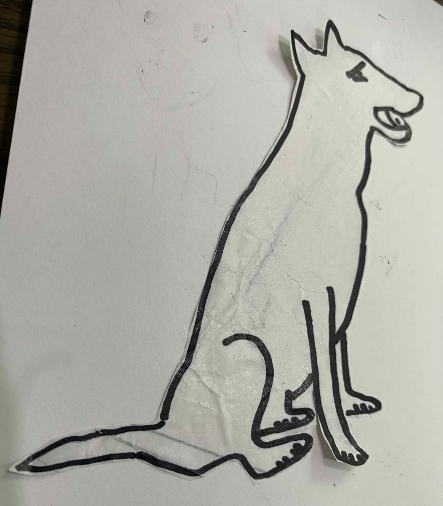 mutt/ mongrel/ street dog