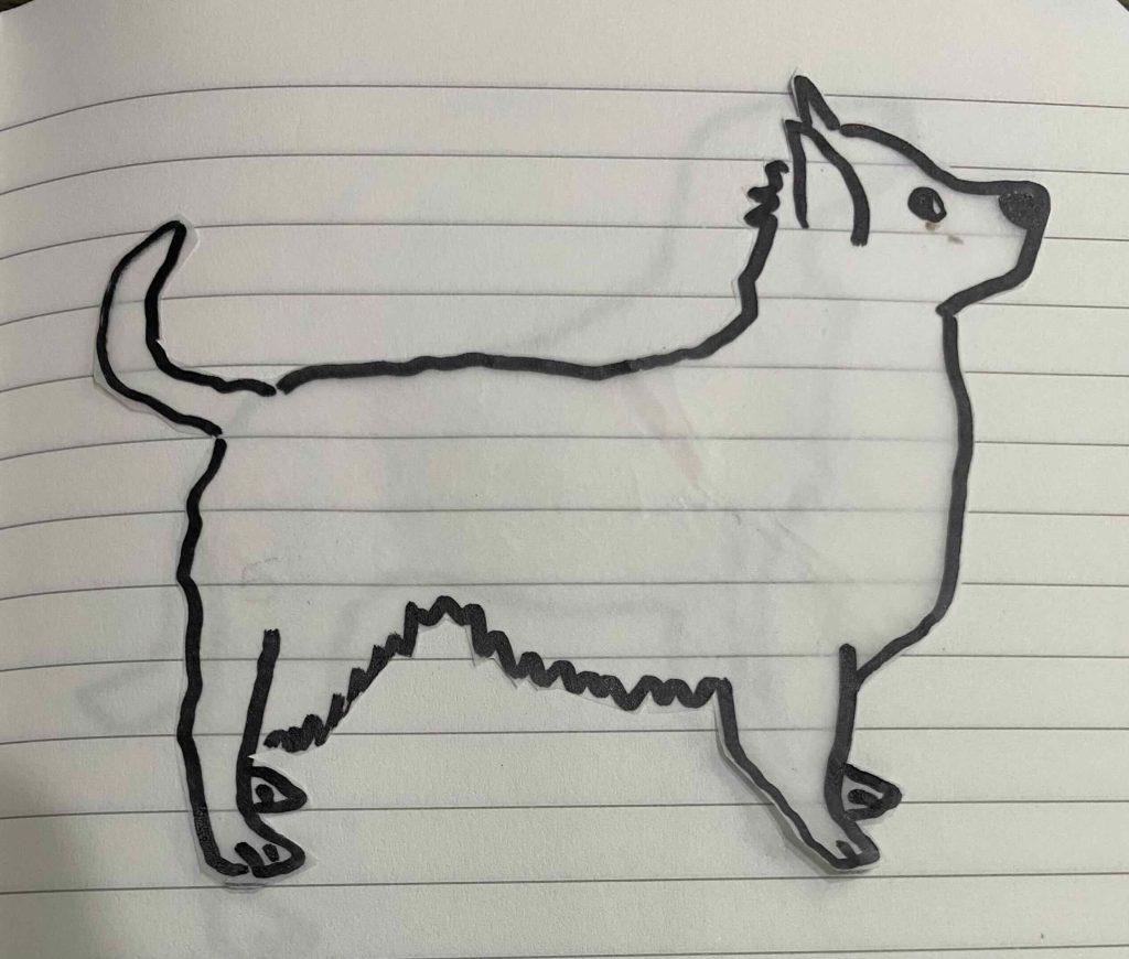 Australian Terrier