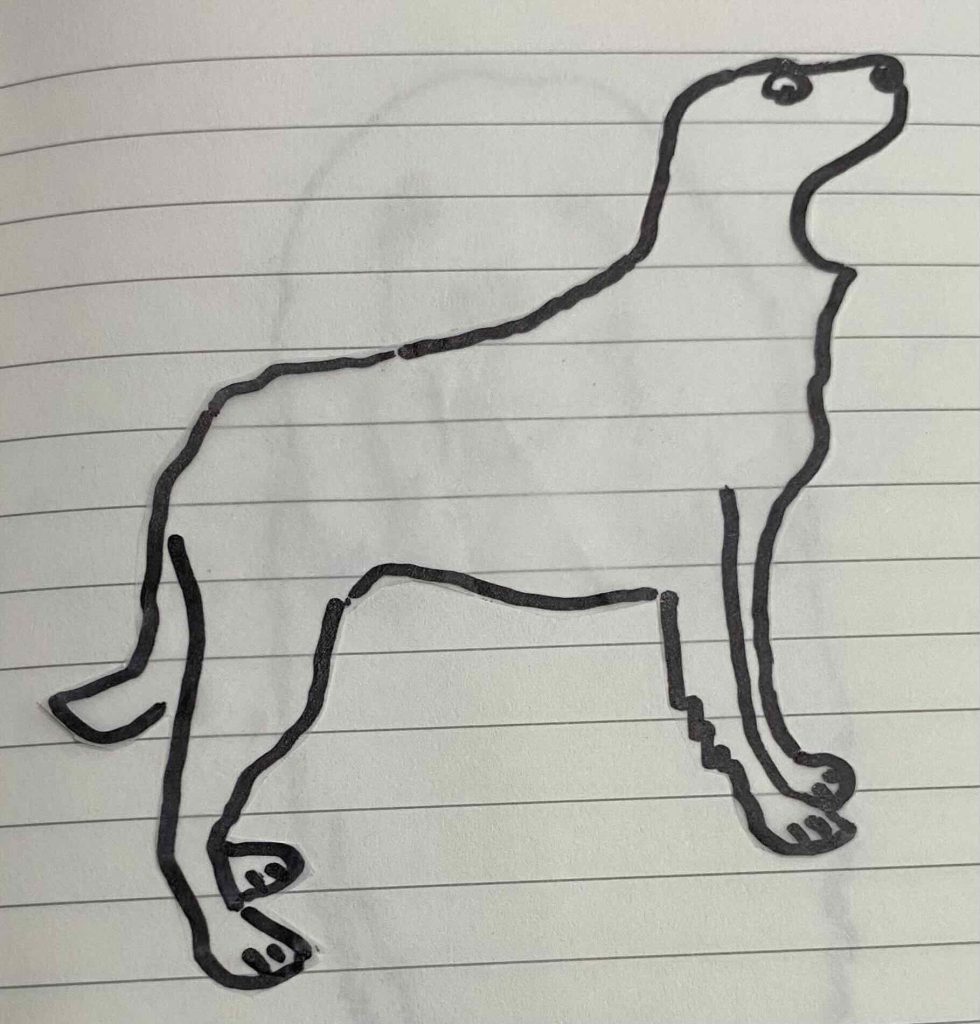 French Spaniel