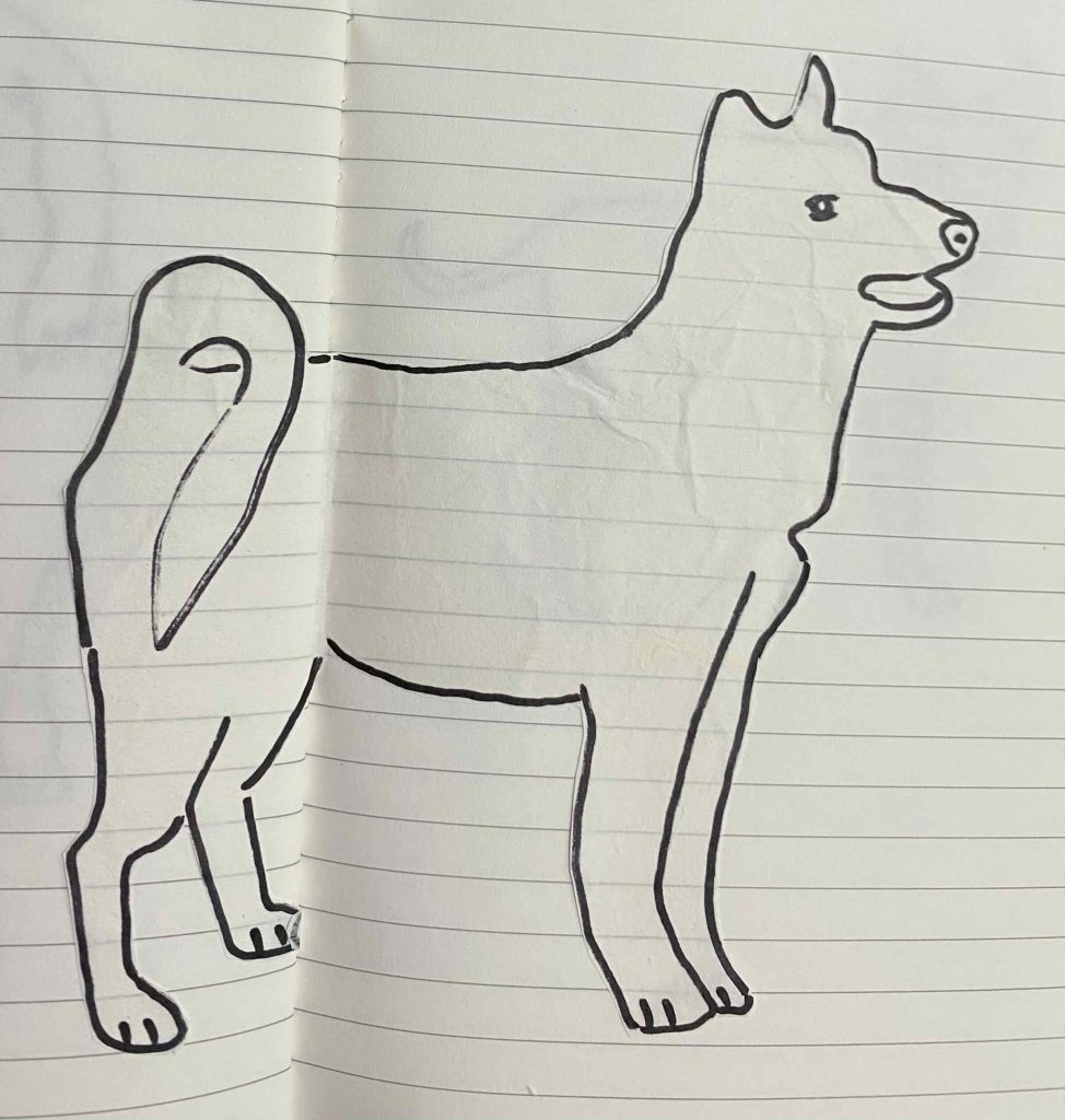 Northern Inuit/ Canadian Eskimo Dog
