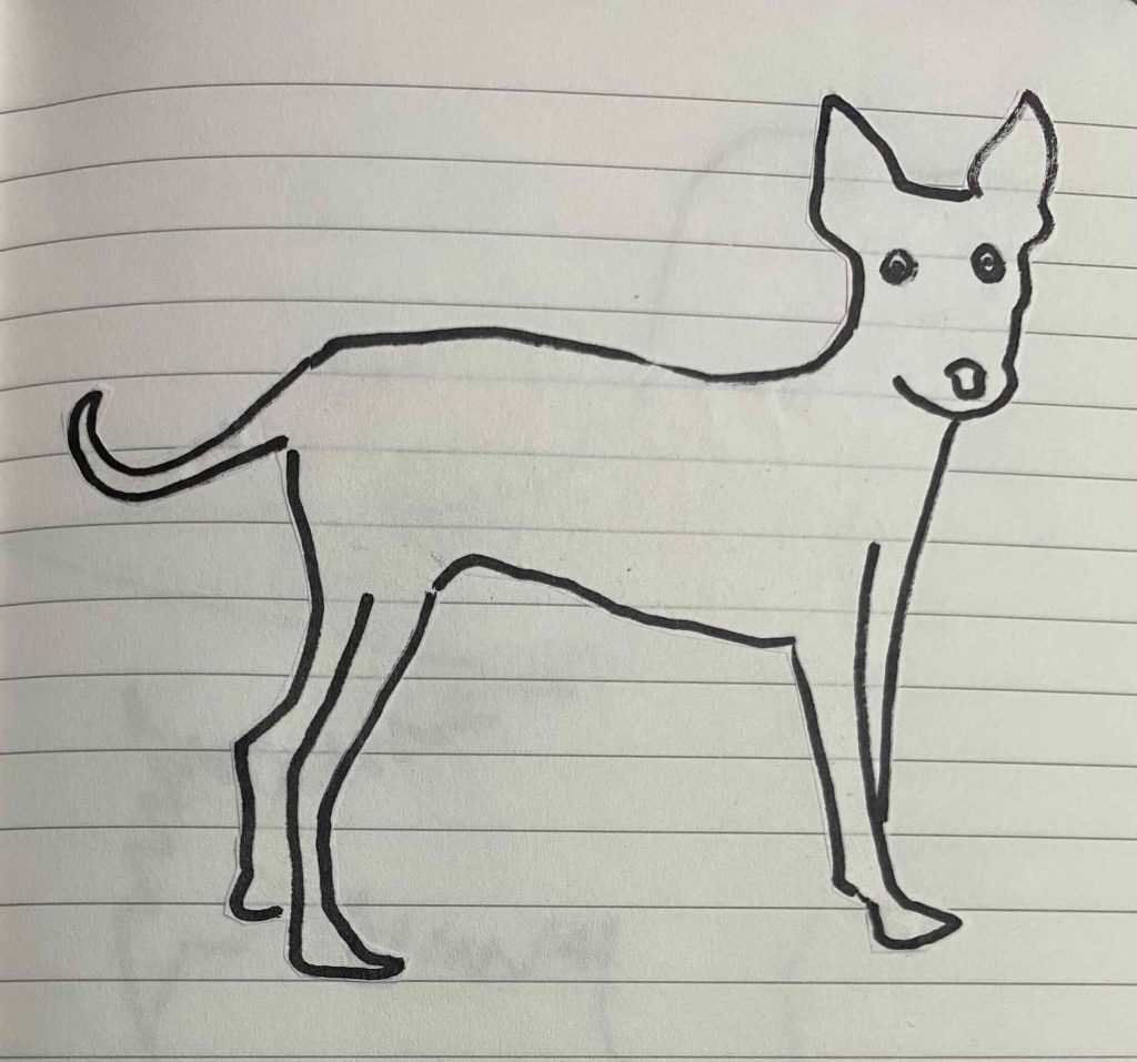 American Hairless Terrier 