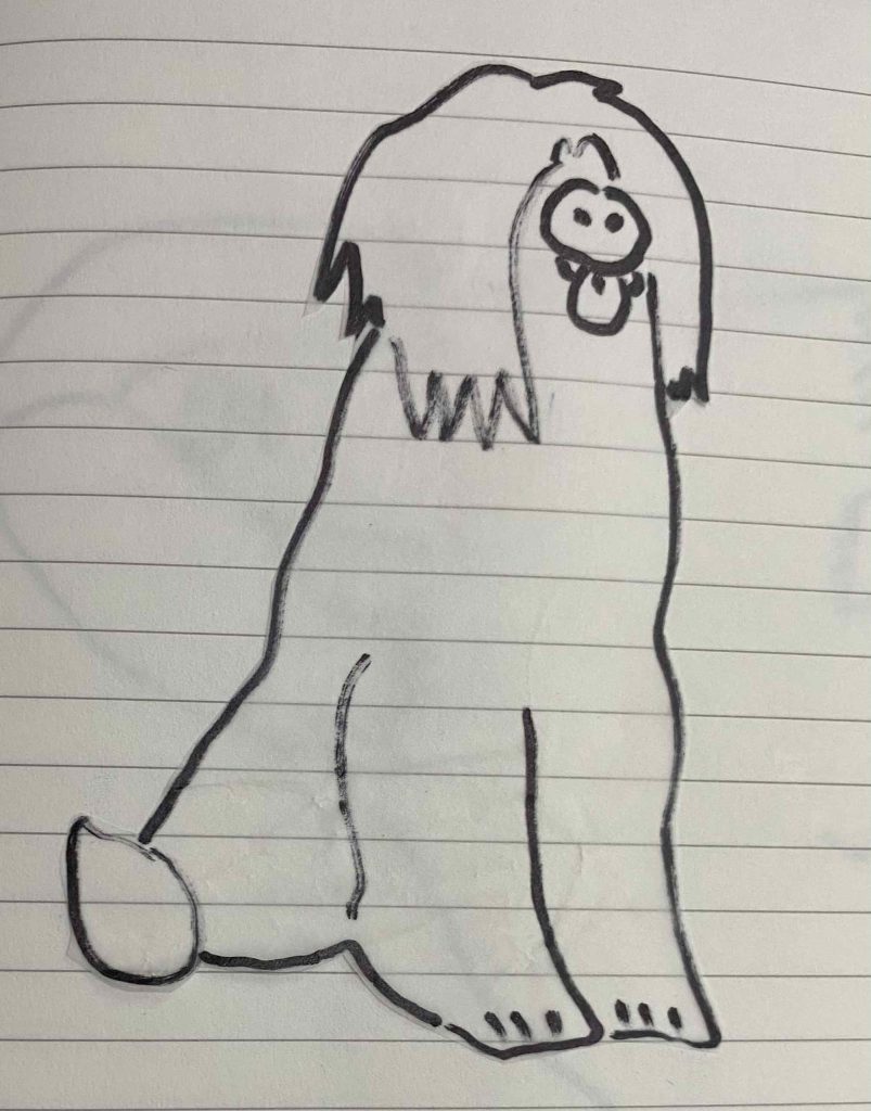 Briard dog