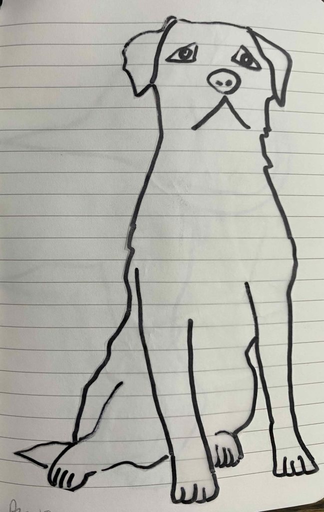 Border Terrier