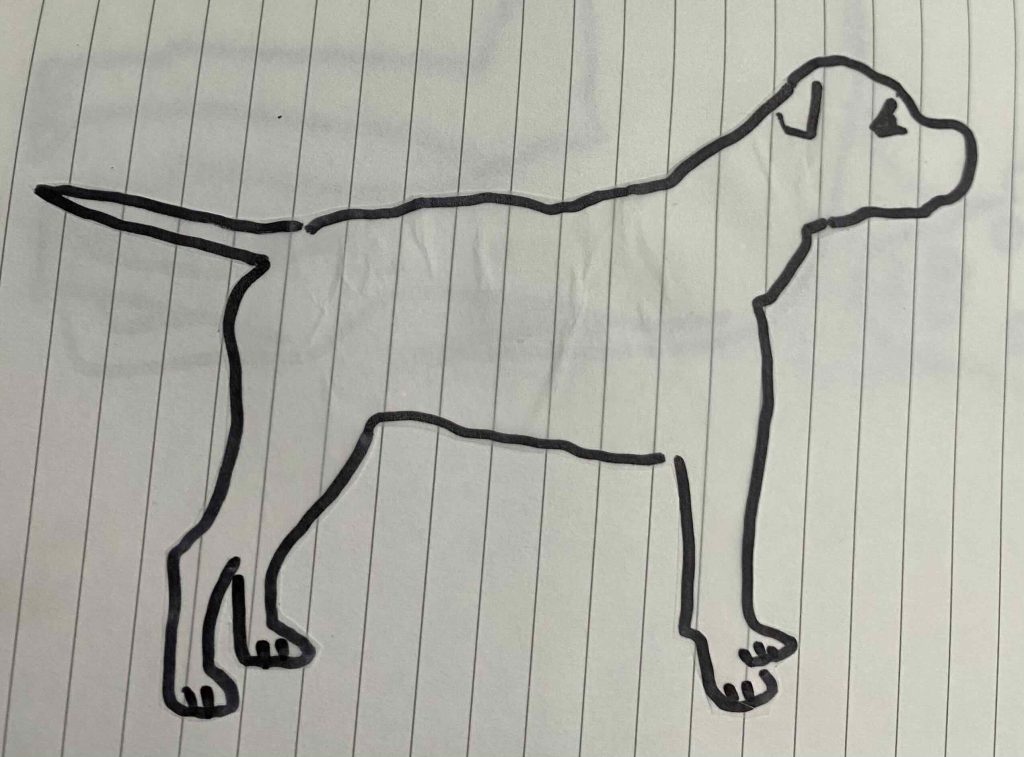 American Staffordshire Terrier