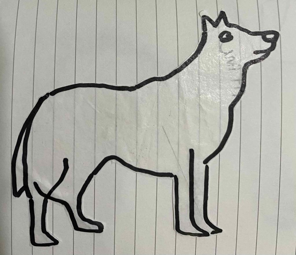 Doodle of the Czechoslovakia Wolf dog      