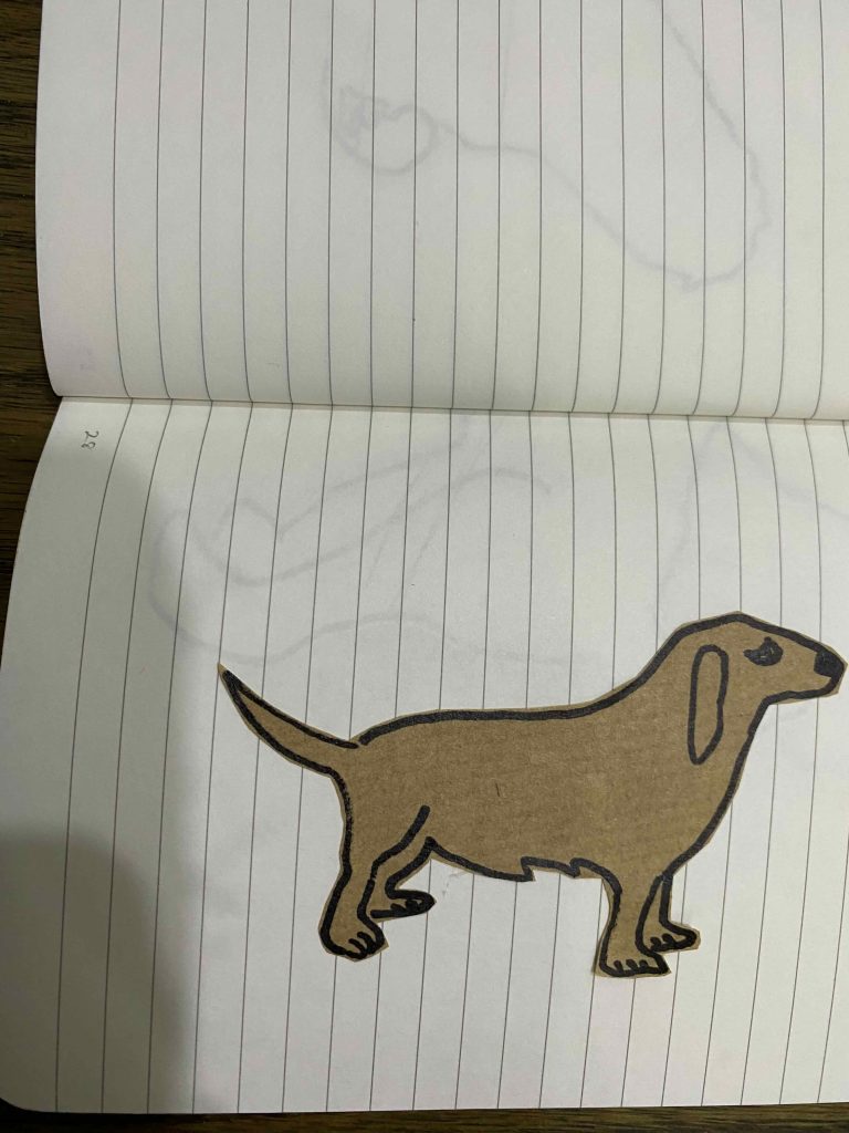 Basset Fauve de Bretagne