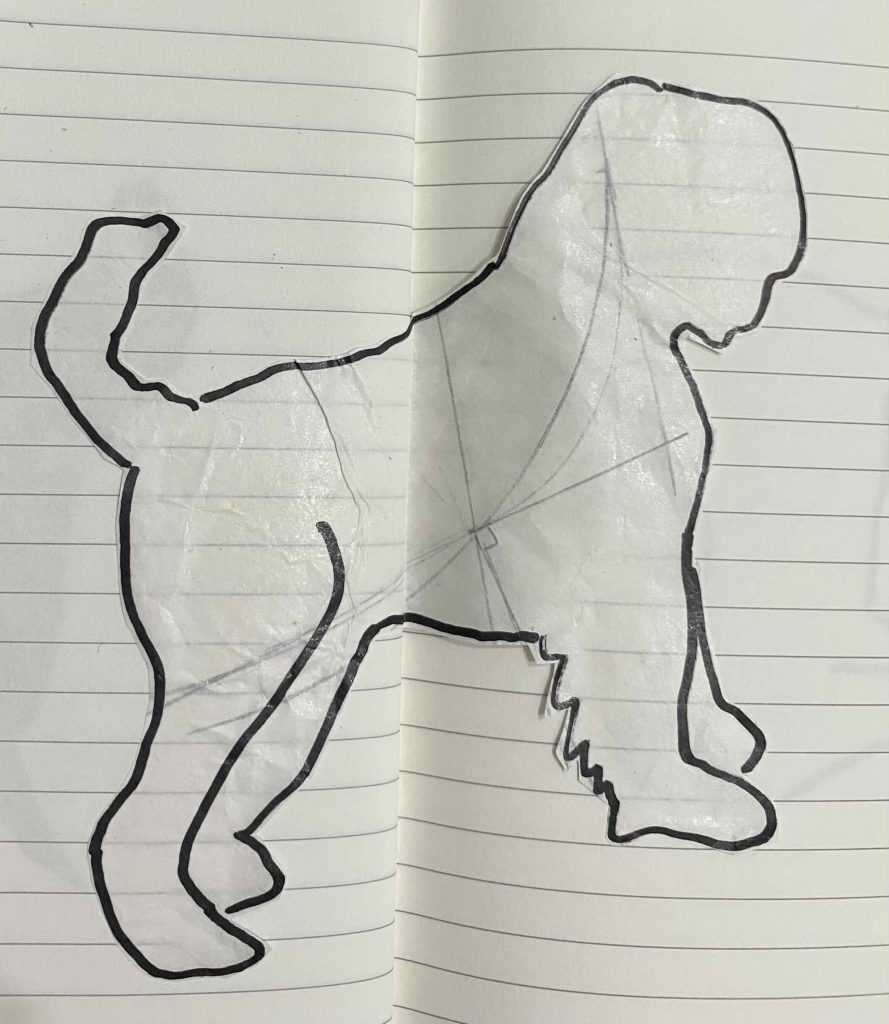 Black Russian Terrier