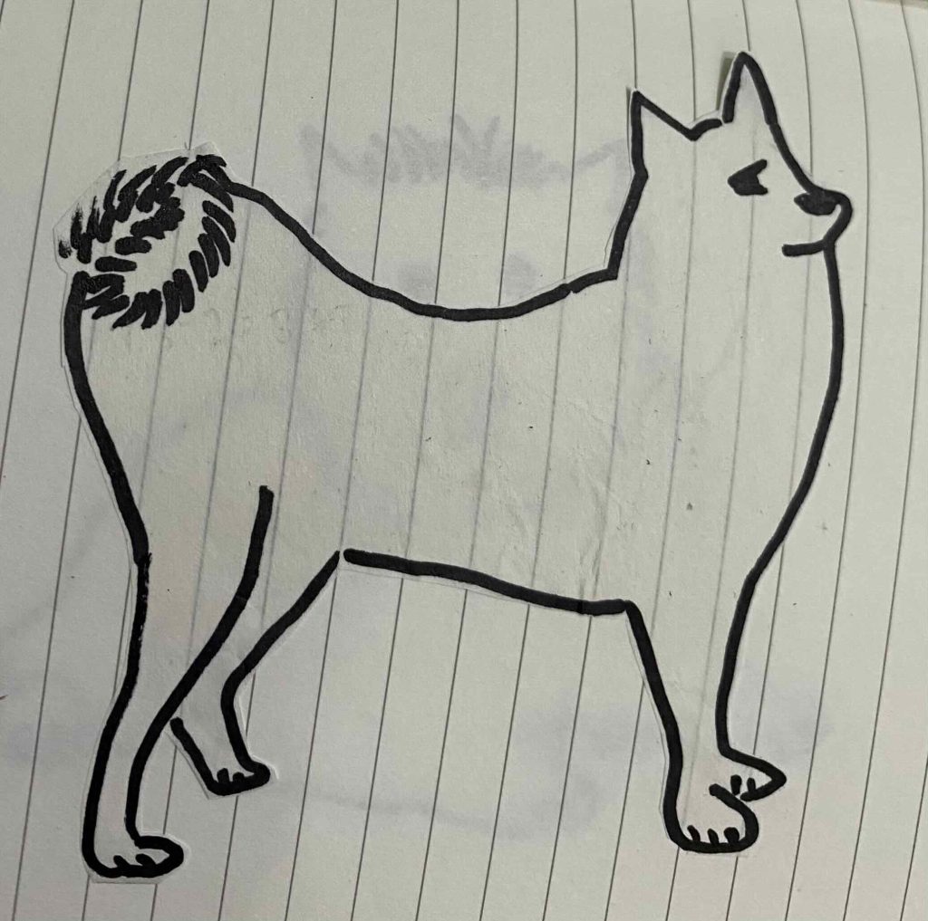 Finnish Spitz