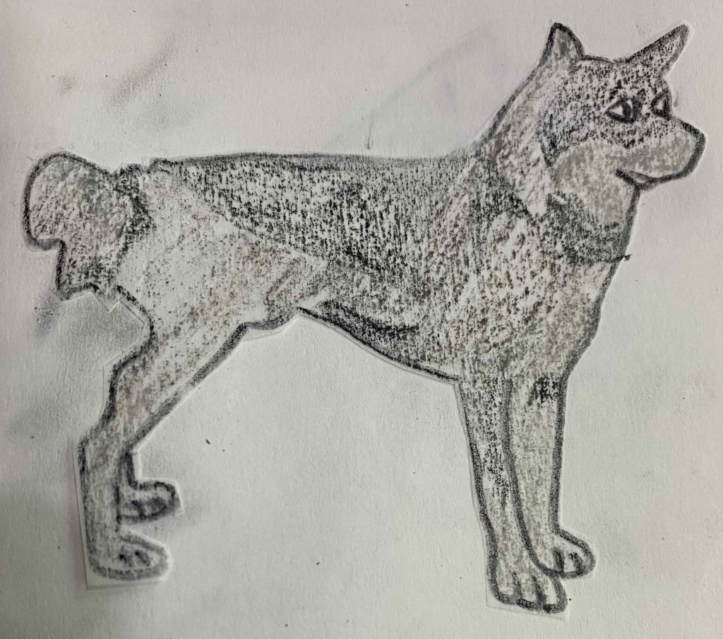 Doggust 2026, Jamthund/ Swedish Elkhound.