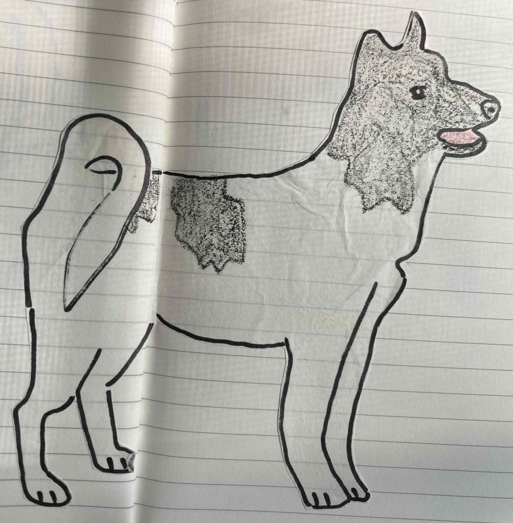 Northern Inuit/ Canadian Eskimo Dog, after coloring