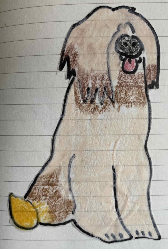 Briard dog, after coloring