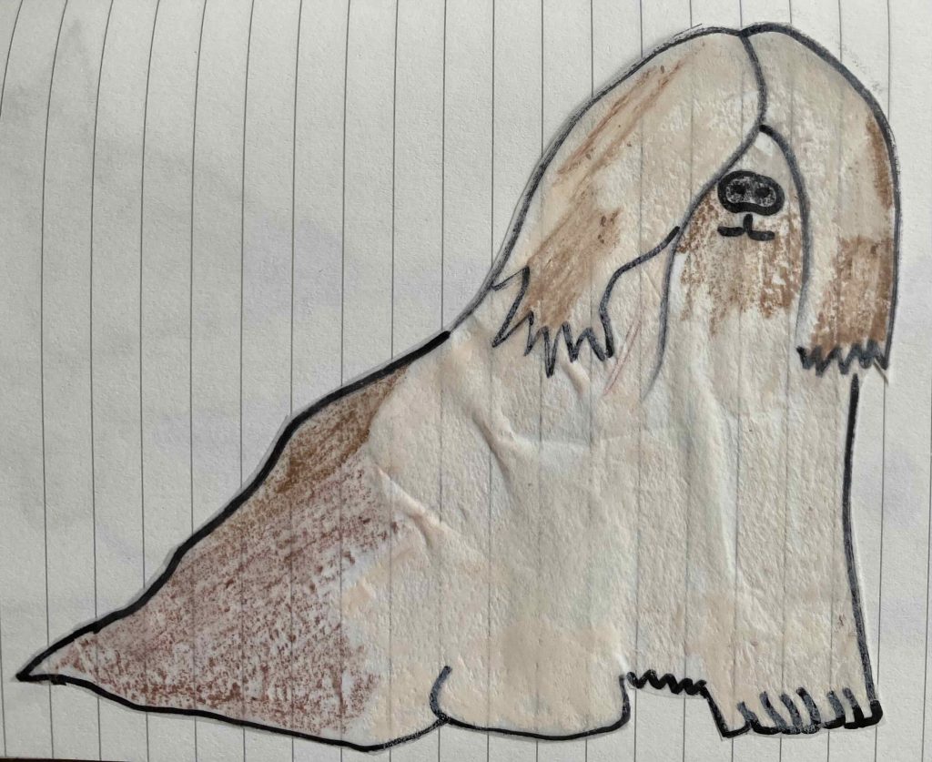 Tibetan Terrier after coloring with oil pastels.