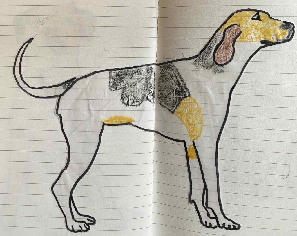 English Foxhound, after coloring.