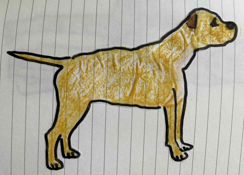 American Staffordshire Terrier, after coloring.with oil pastels.
