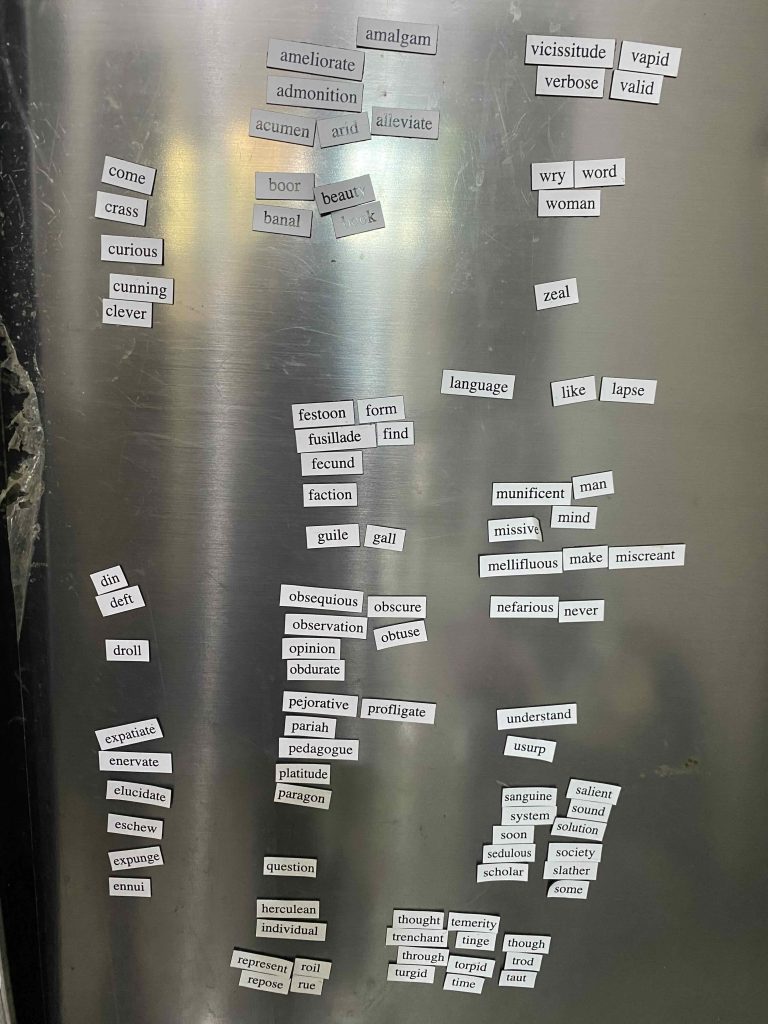 Words on magnets, fridge magnets.