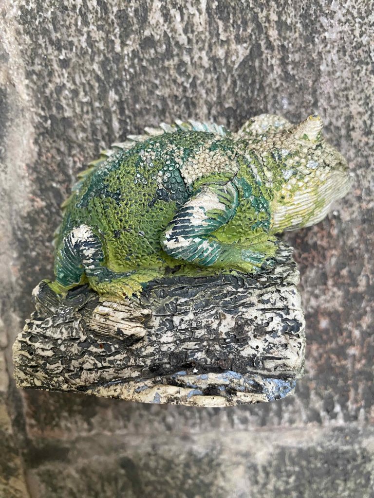 hibernating? fossil? stone? rock? sculpture?