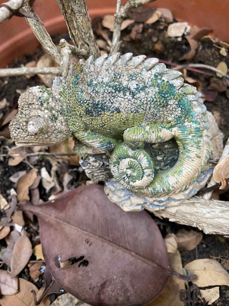 hibernating? fossil? stone? rock? sculpture?
