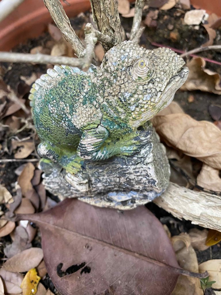 hibernating? fossil? stone? rock? sculpture?