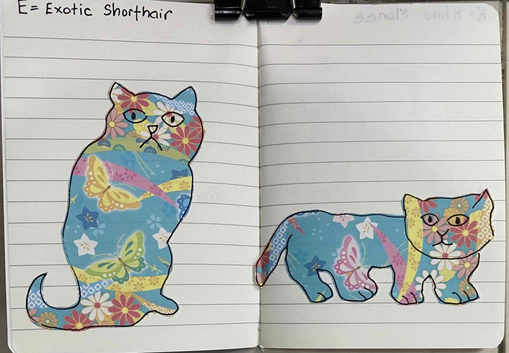 E for Exotic Shorthair cat breed, Oct 5 Catober 2026