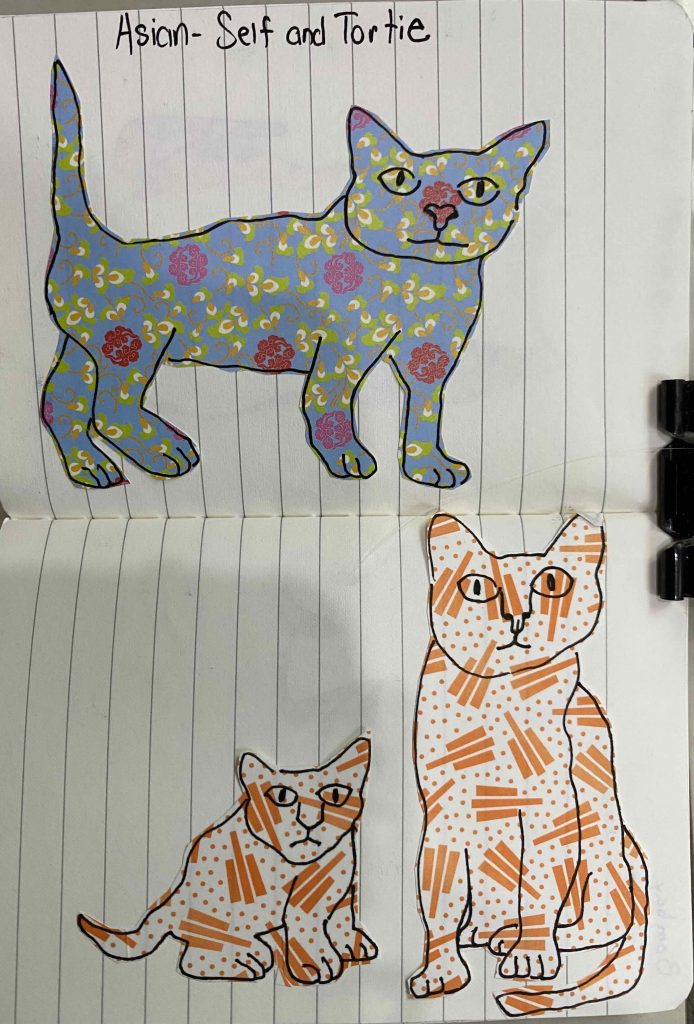 A to Z cats in Catober 2026, Asian - Self and Tortie