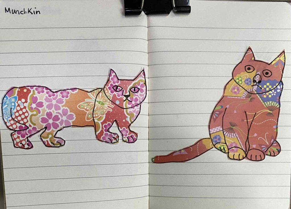M for Munchkin cat, A - Z catober 2026