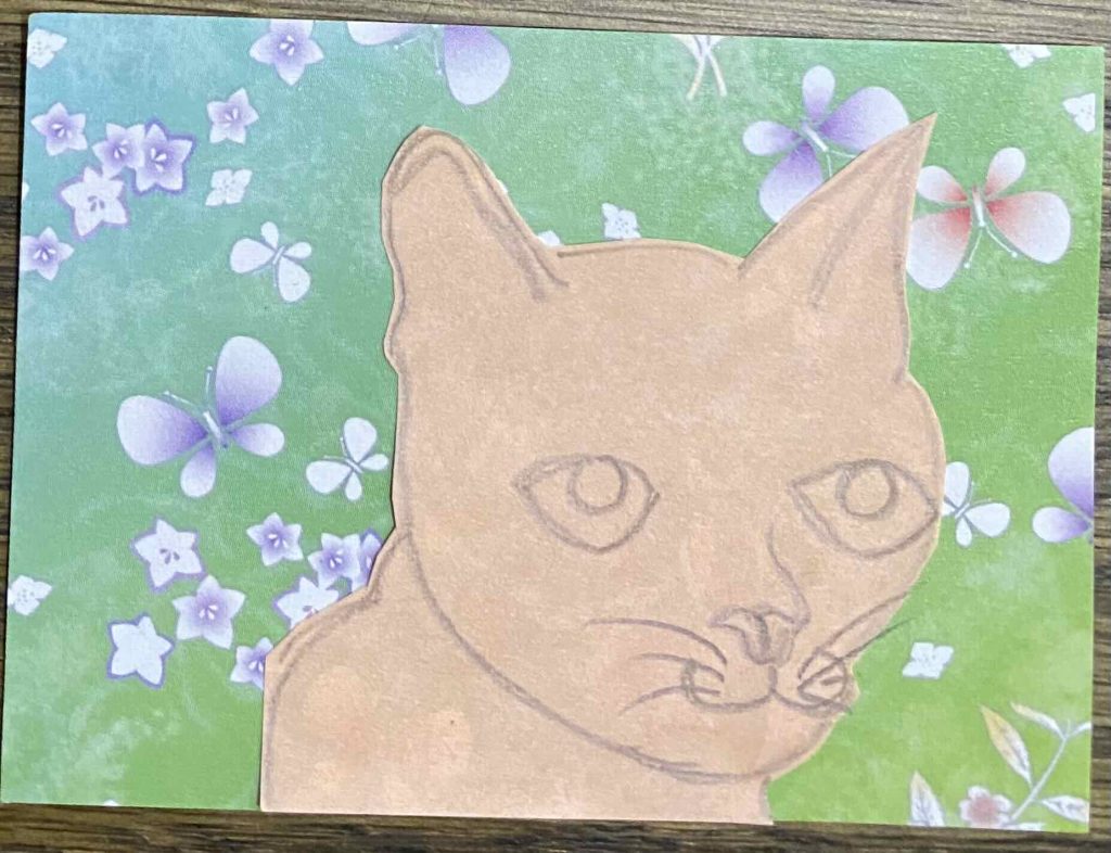 Catober 2026 American Burmese